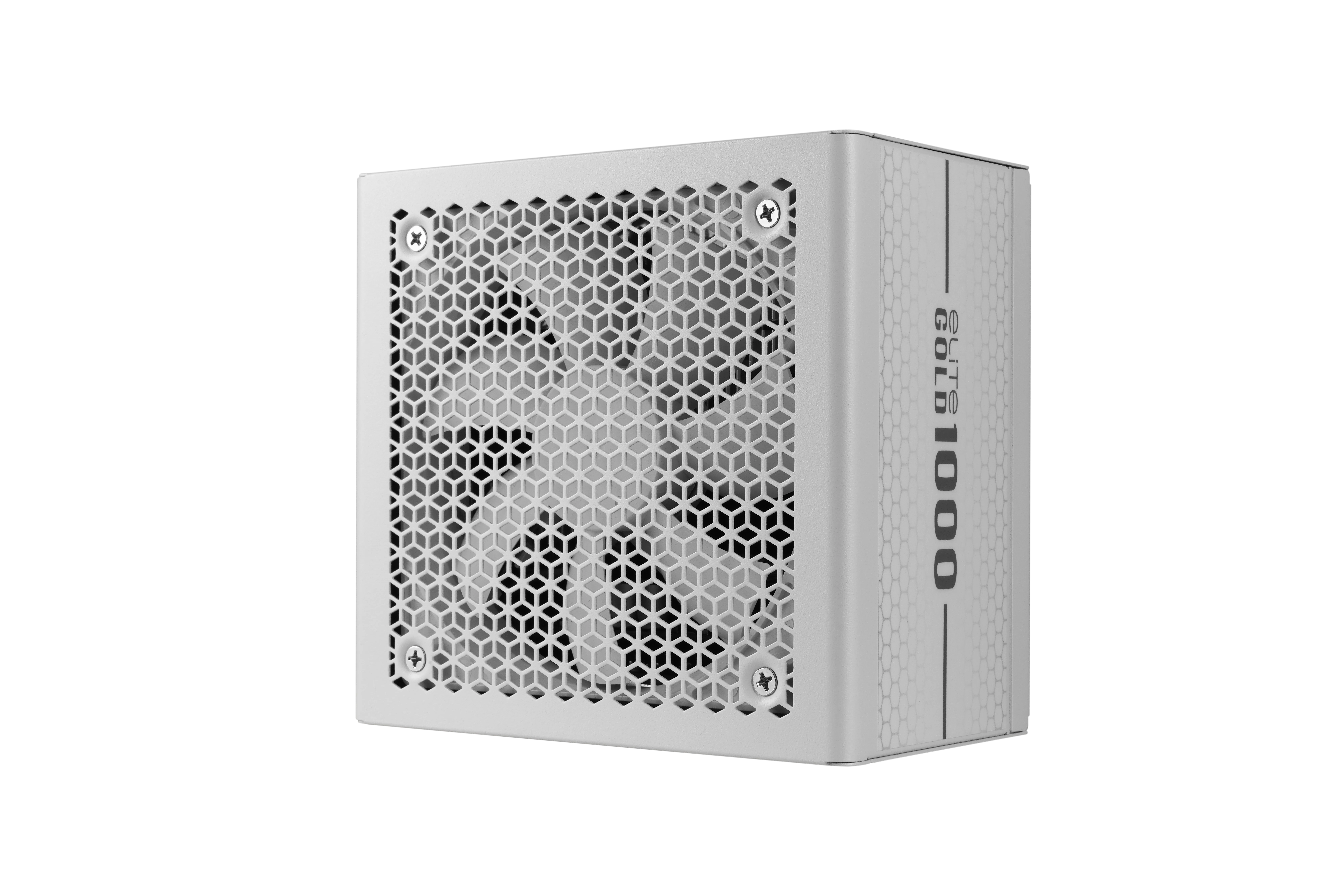 FUENTE CERTIFICADA COOLER MASTER 1000W ELITE 80 PLUS GOLD FULL MODULAR MPX-A005-AFAG