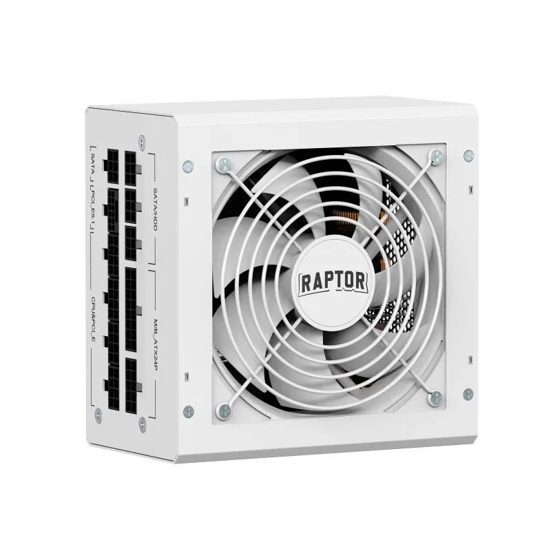 Fuente Certificada Raptor Volt 1000W 80 Plus Gold Full Modular White ZU-ATX105xy-WH